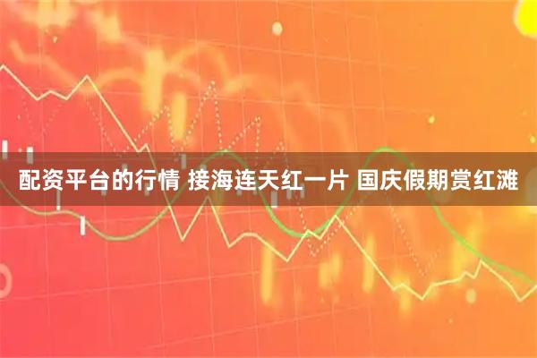 配资平台的行情 接海连天红一片 国庆假期赏红滩
